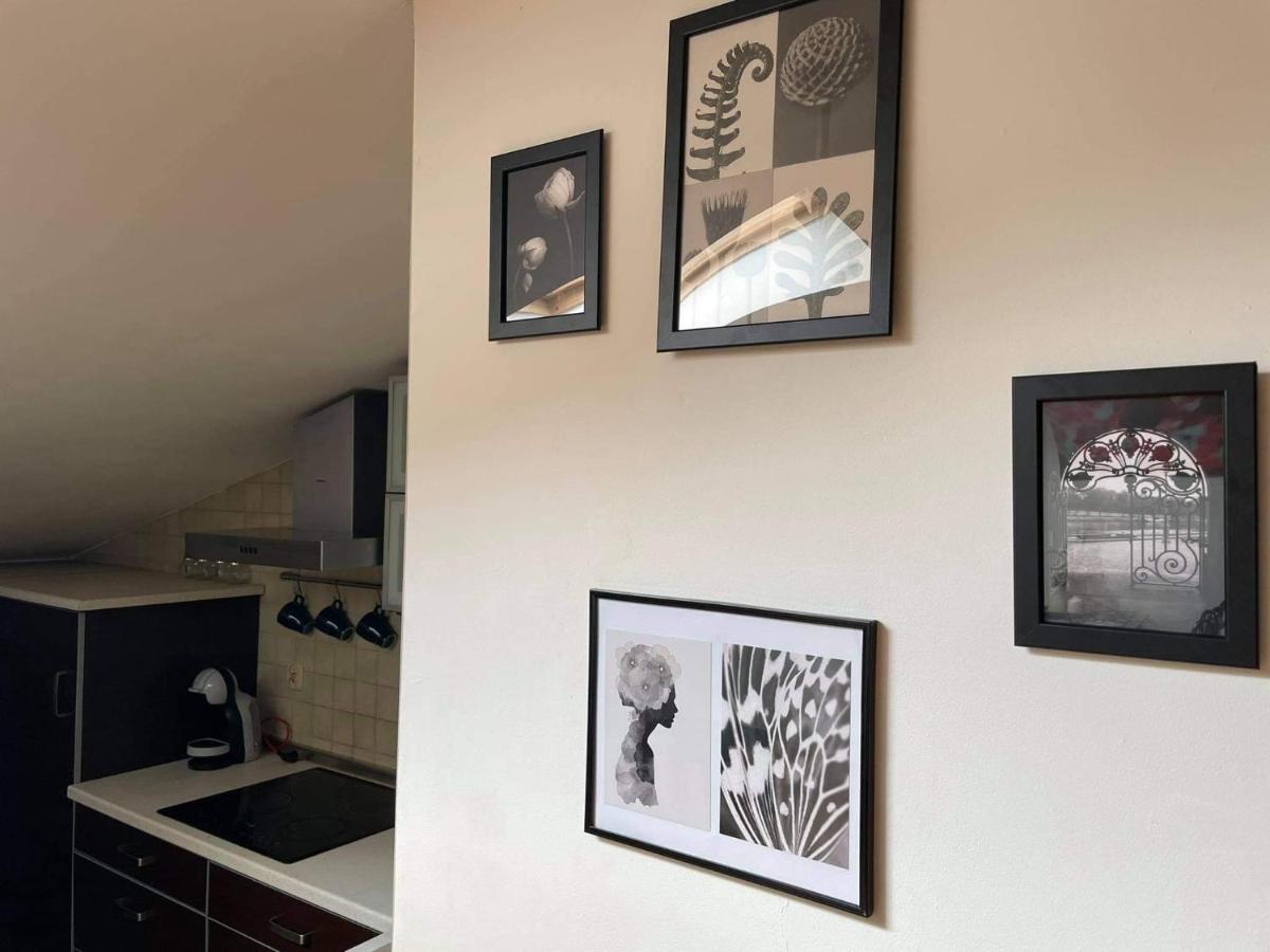 Apartament Studio Nałęczów Naleczow Exterior foto